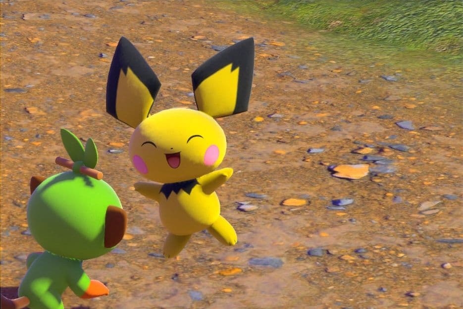 1 photo of Pichu