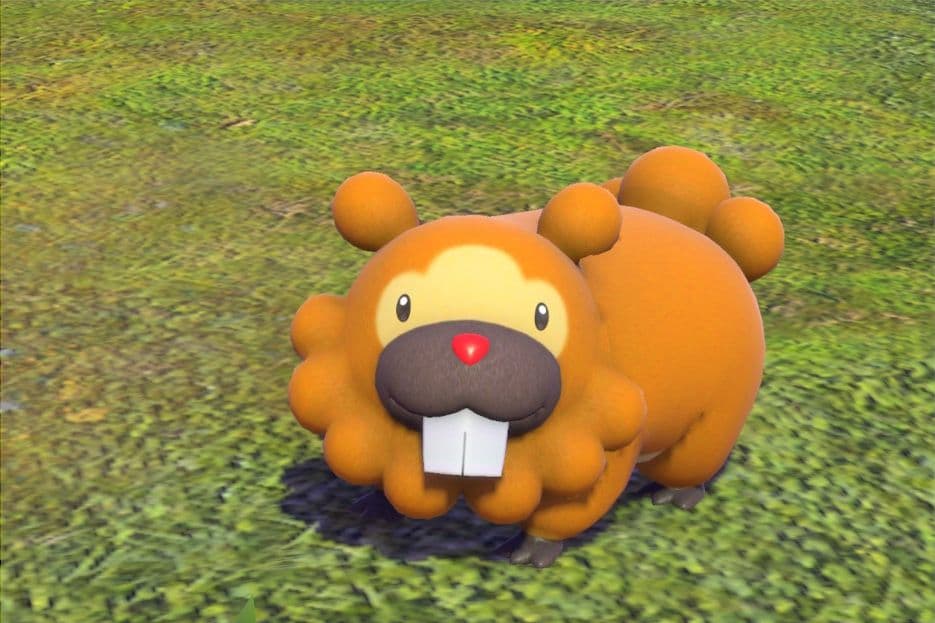 2 photo of Bidoof