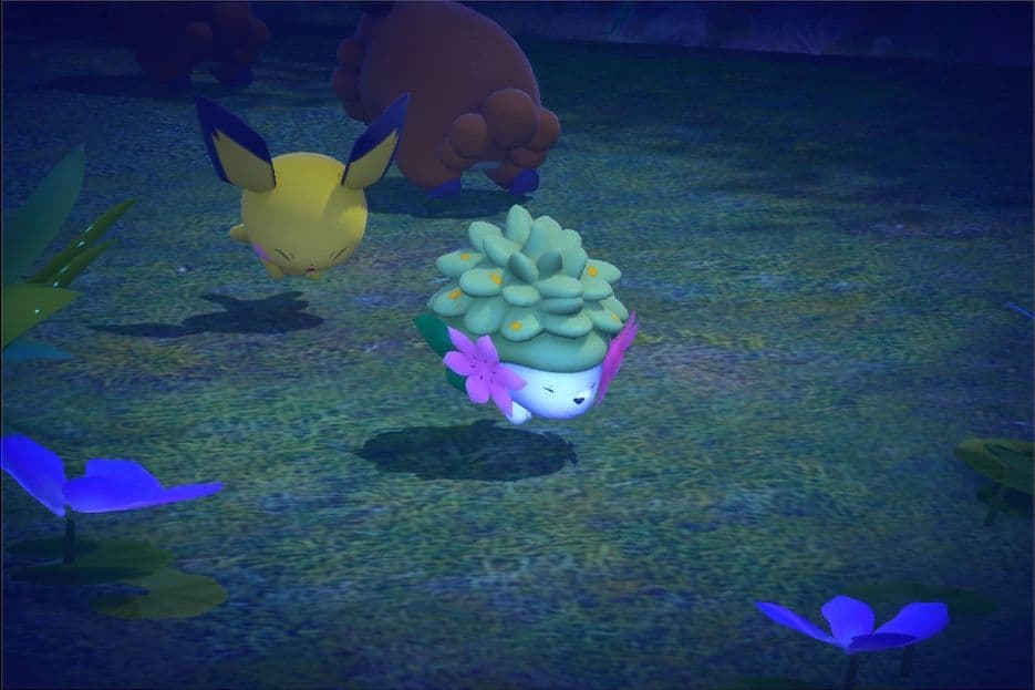1 photo of Shaymin