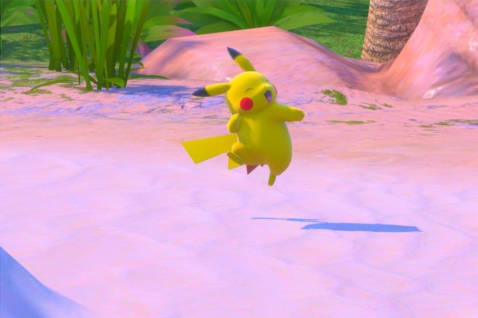 3 photo of Pikachu