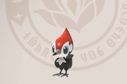 Generic photo of Pikipek