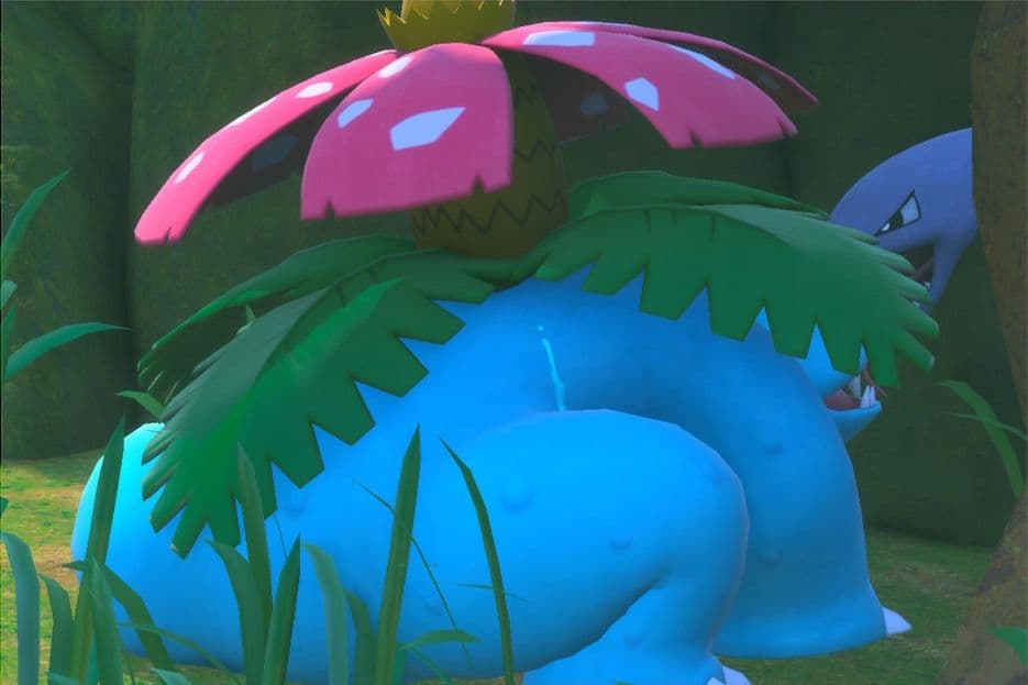 1 photo of Venusaur