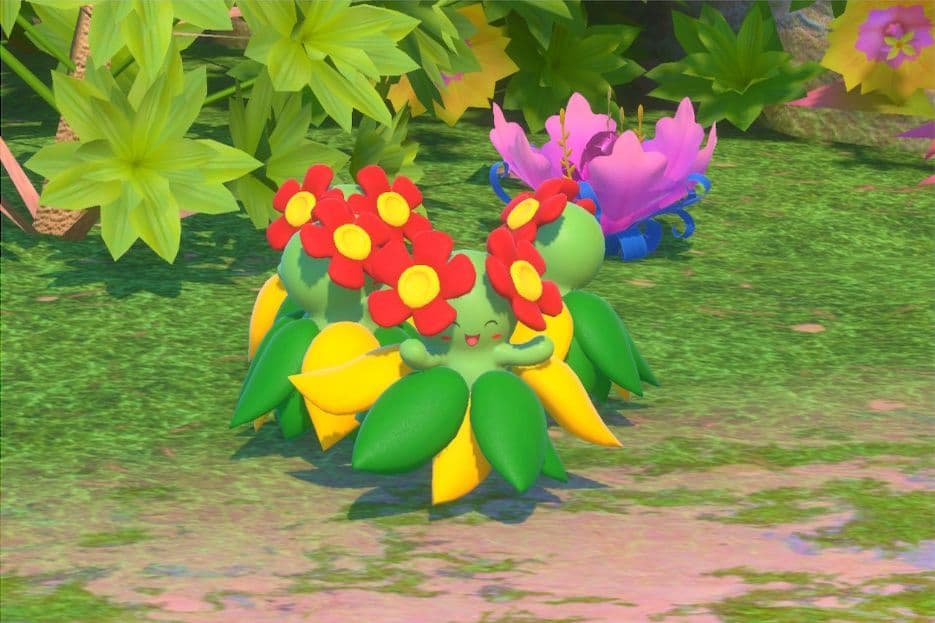 2 photo of Bellossom