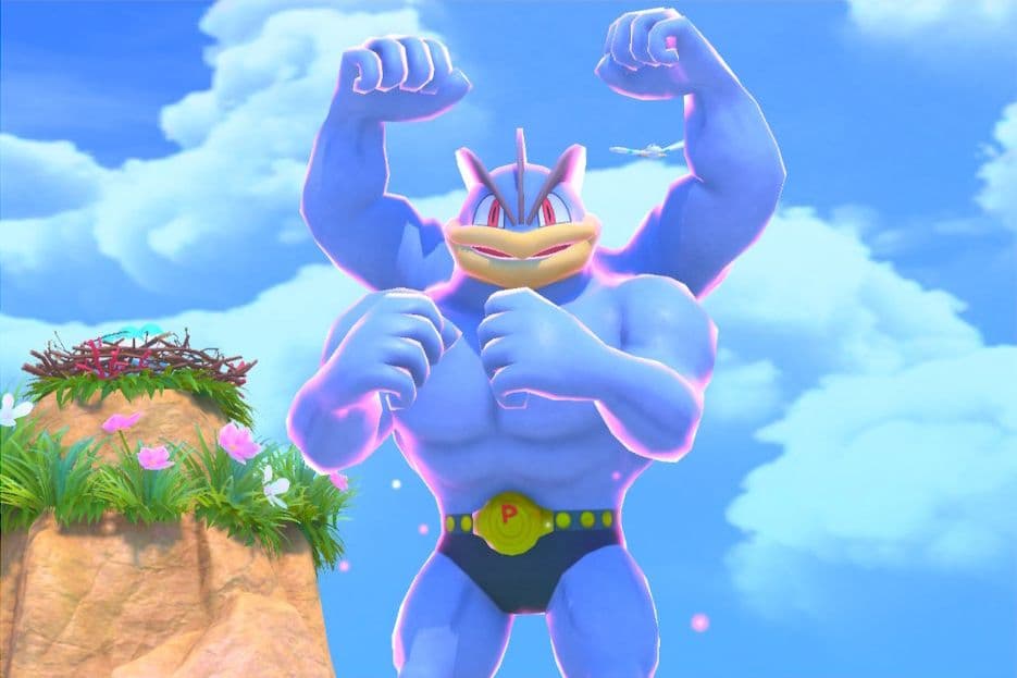 1 photo of Machamp