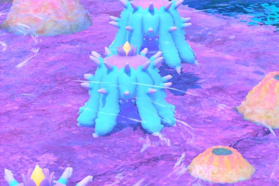 2 photo of Mareanie