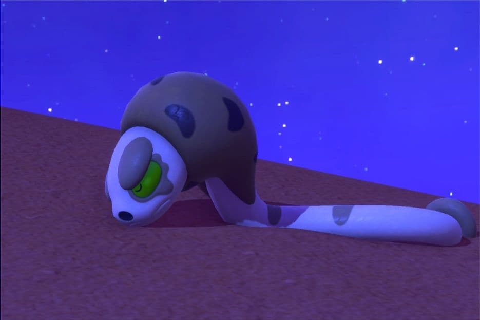 1 photo of Silicobra