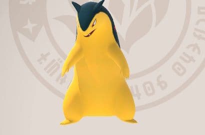 Generic photo of Typhlosion