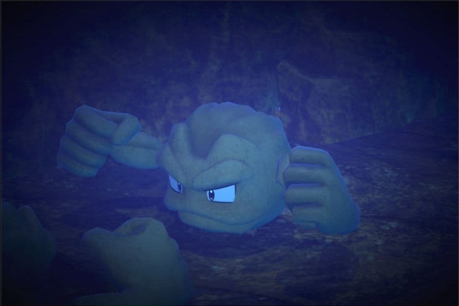 1 photo of Geodude