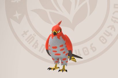 Generic photo of Talonflame